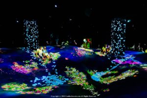 teamLab Borderless