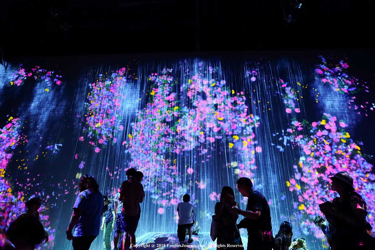 teamLab Borderless Borderless Wolrd The Universe of Water Particles on ...